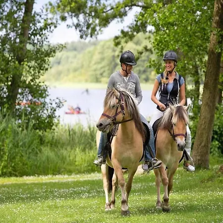 Mit Sauna Im Mirow *